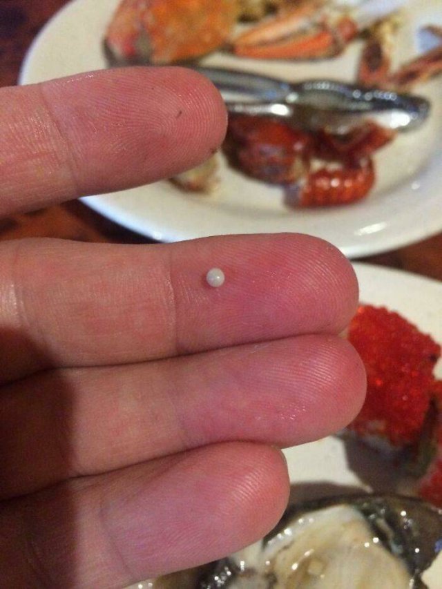 Amazing Findings (43 pics)