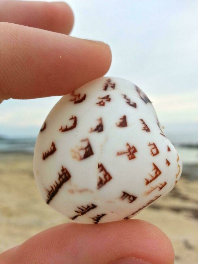 Amazing Findings (43 pics)