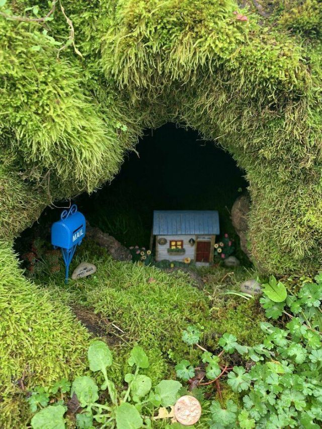 Amazing Findings (43 pics)