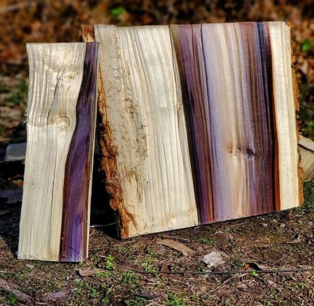 Amazing Findings (43 pics)