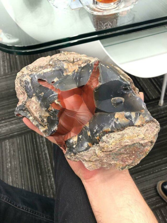 Amazing Findings (43 pics)