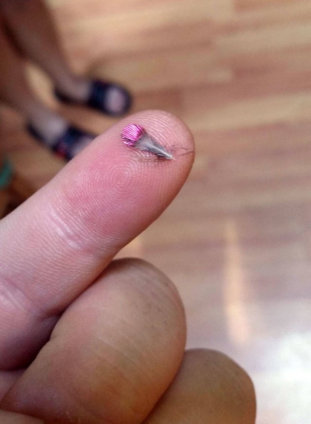 Amazing Findings (43 pics)