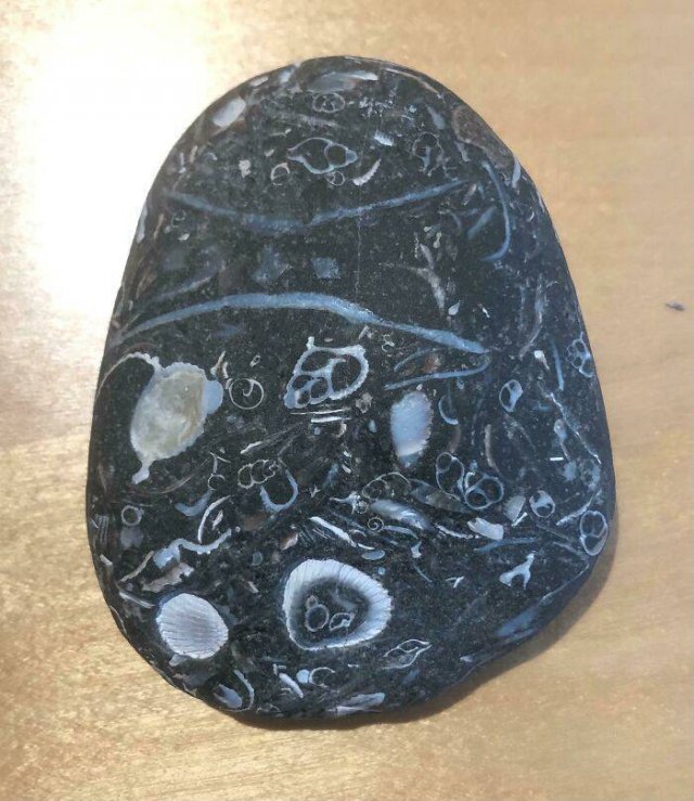 Amazing Findings (43 pics)