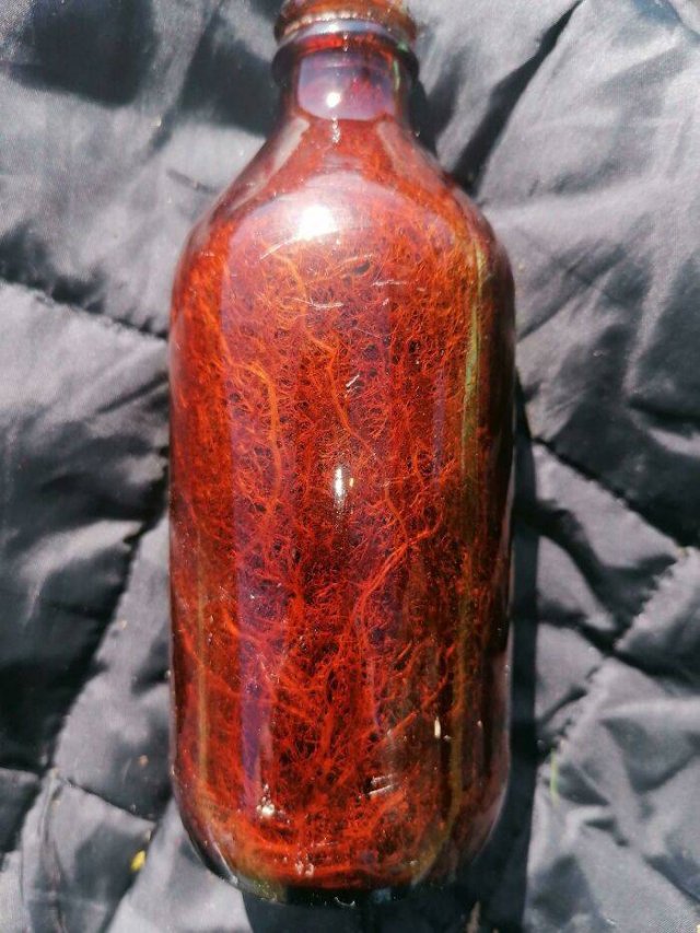 Amazing Findings (43 pics)