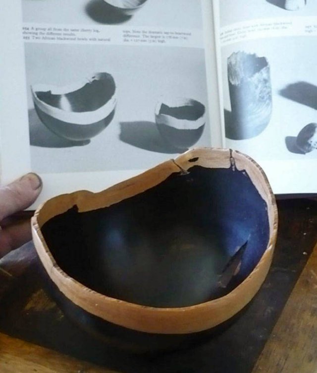 Amazing Findings (43 pics)