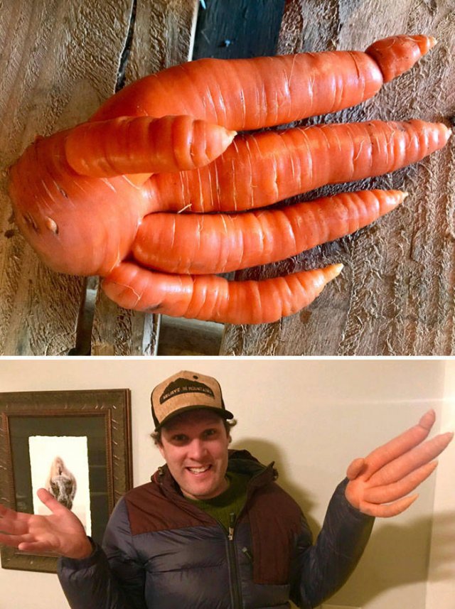 Amazing Findings (43 pics)