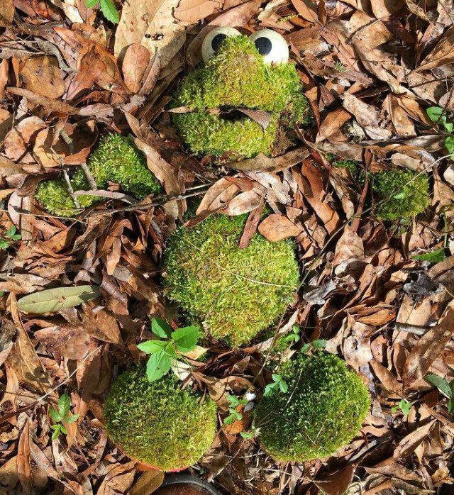 Amazing Findings (43 pics)