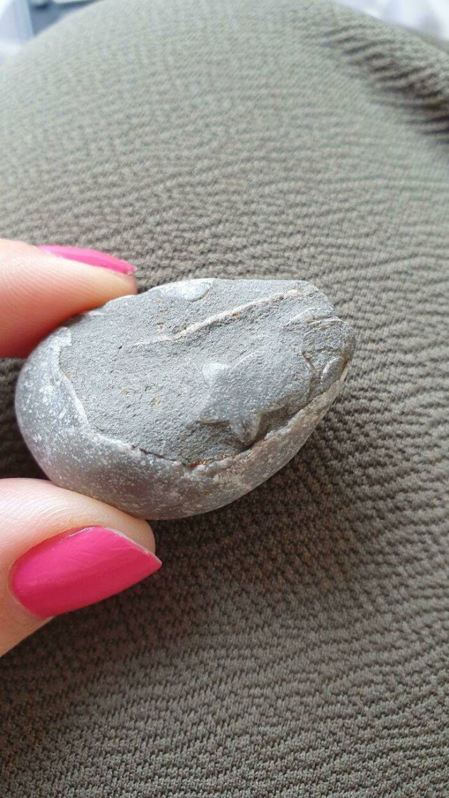 Amazing Findings (43 pics)