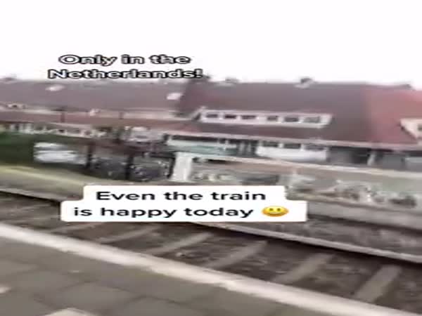 All Trains Should Do The Same