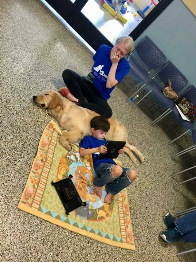 Wholesome Stories (41 pics)