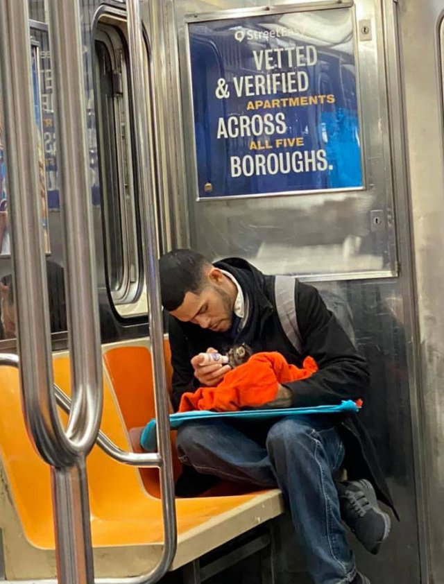 Wholesome Stories (41 pics)