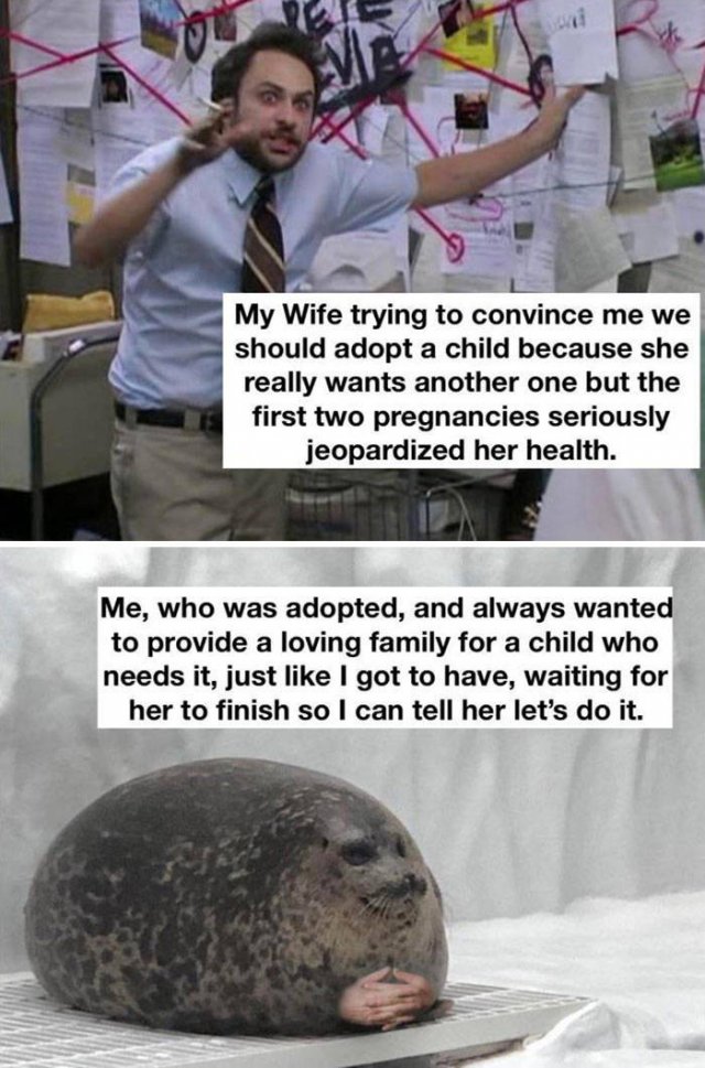 Wholesome Stories (41 pics)