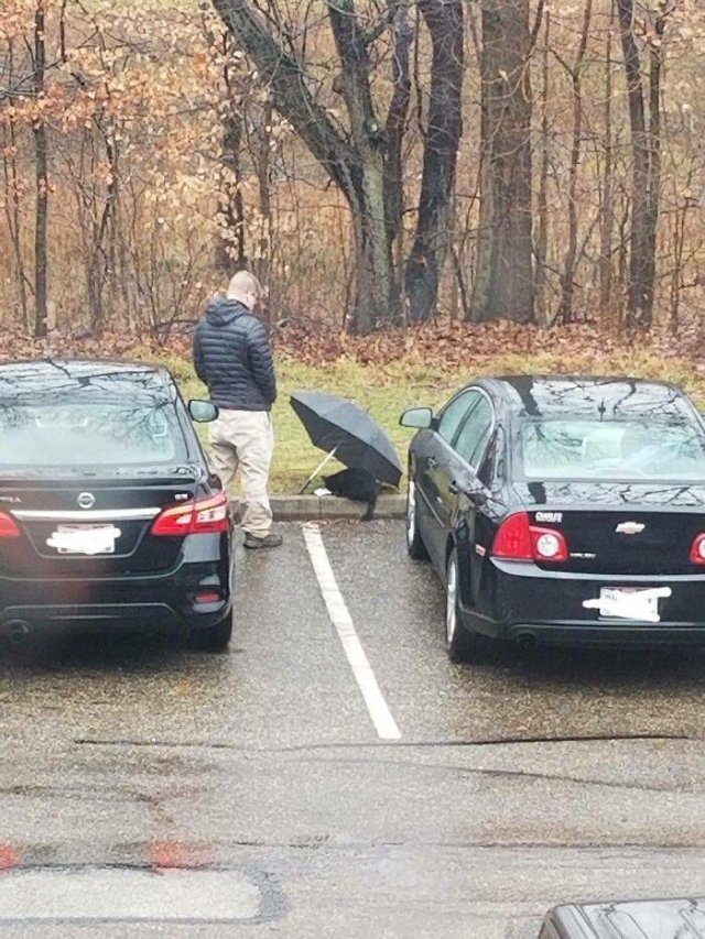 Wholesome Stories (41 pics)