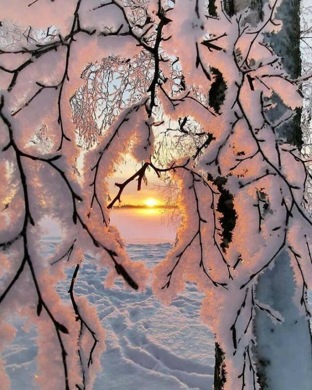 Amazing Ice And Snow Pictures (50 pics)