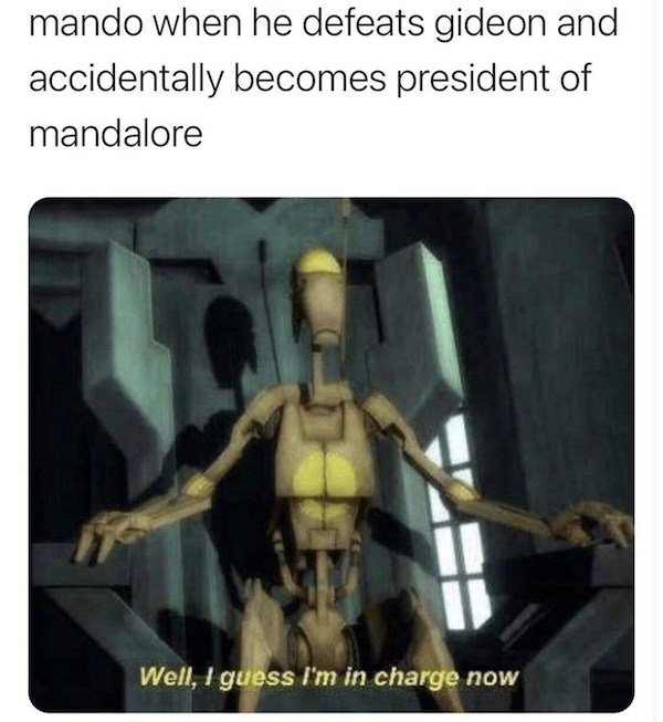 'Mandalorian' Series Memes (40 pics)