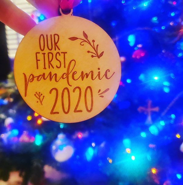 2020 Christmas Decorations (27 pics)