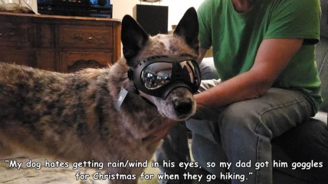 Acid Picdump. Part 2 (75 pics)