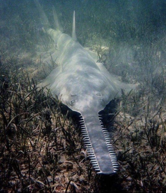 Acid Picdump. Part 2 (75 pics)