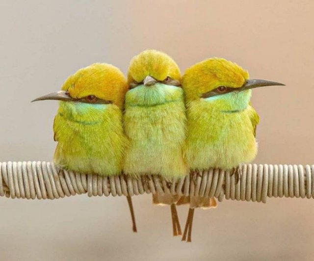 Acid Picdump. Part 2 (75 pics)
