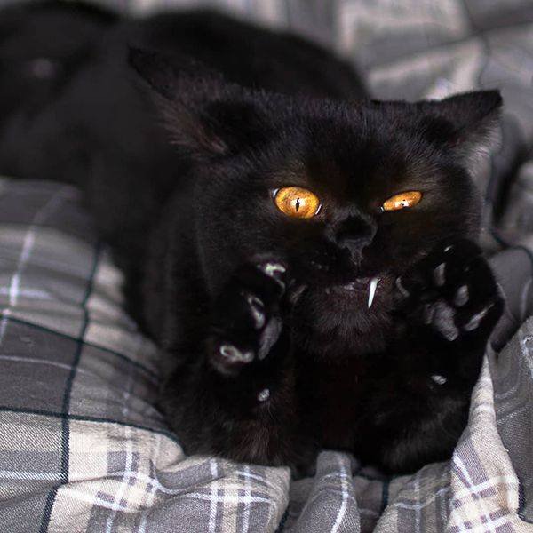 Acid Picdump. Part 2 (75 pics)