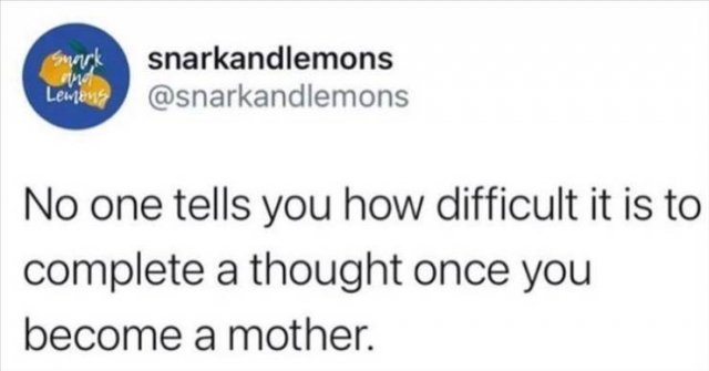 Funny Tweets (49 pics)