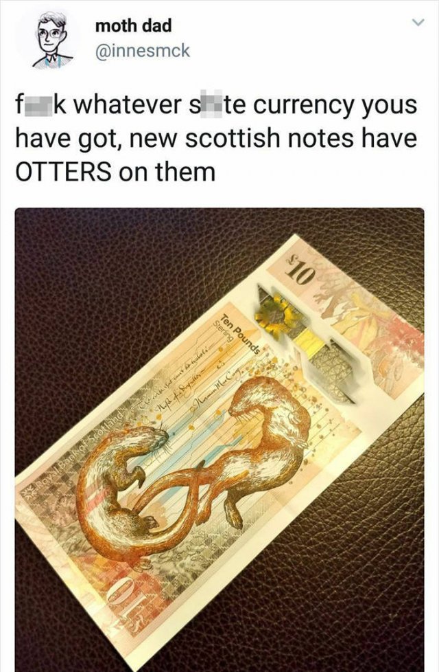 Scottish Humor (46 pics)
