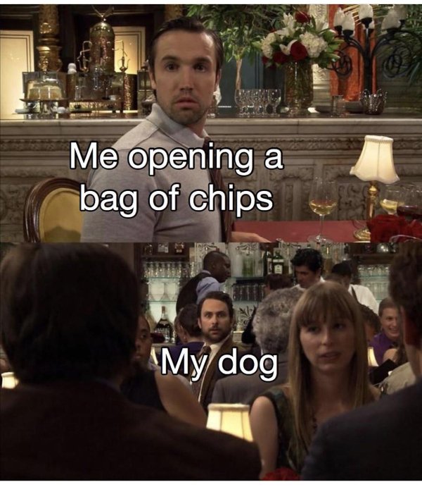 Hilarious Memes (29 pics)