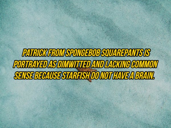 Interesting Facts (19 pics)