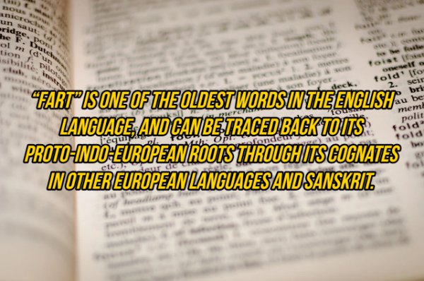 Interesting Facts (19 pics)