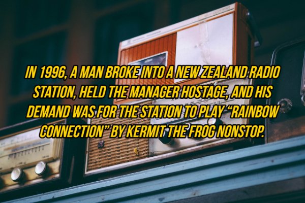 Interesting Facts (19 pics)