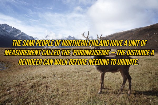Interesting Facts (19 pics)