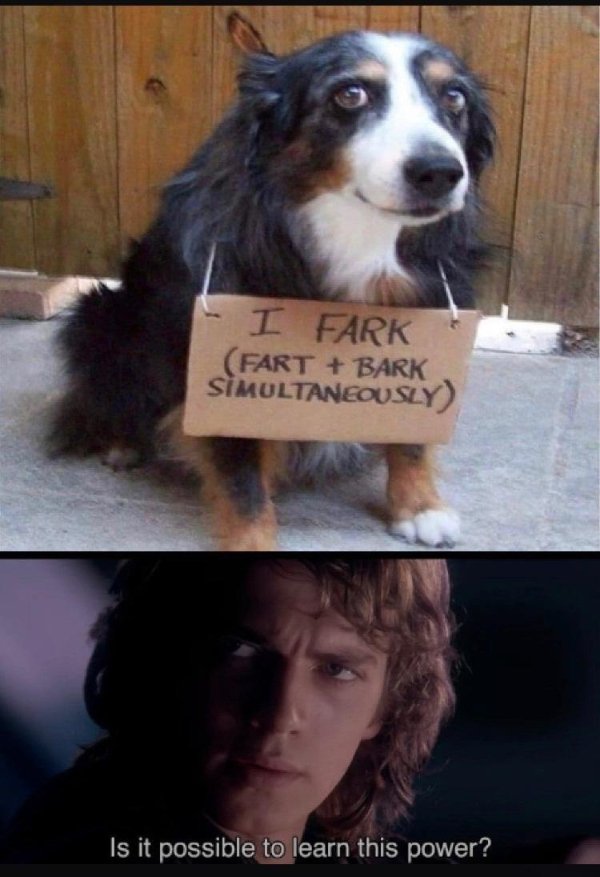 Hilarious Memes (29 pics)