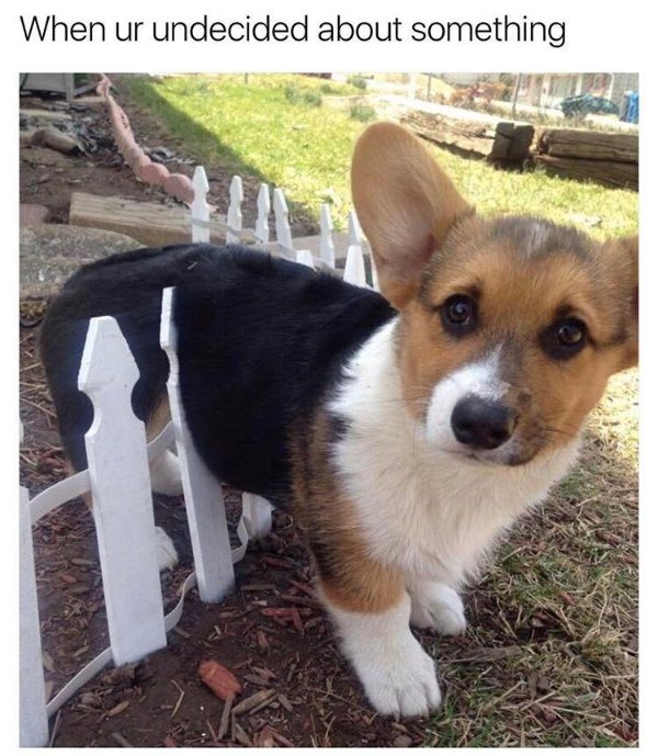 Hilarious Memes (29 pics)