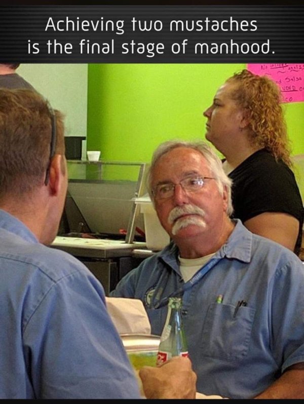 Hilarious Memes (29 pics)