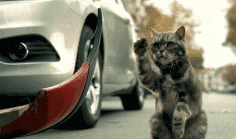 Acid Gifdump, December 28 (25 gifs)