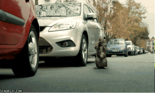 Acid Gifdump, December 28 (25 gifs)