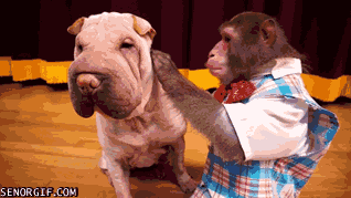 Acid Gifdump, December 28 (25 gifs)
