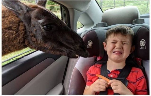 Living With Children (35 pics) Living With Children (35 pics)