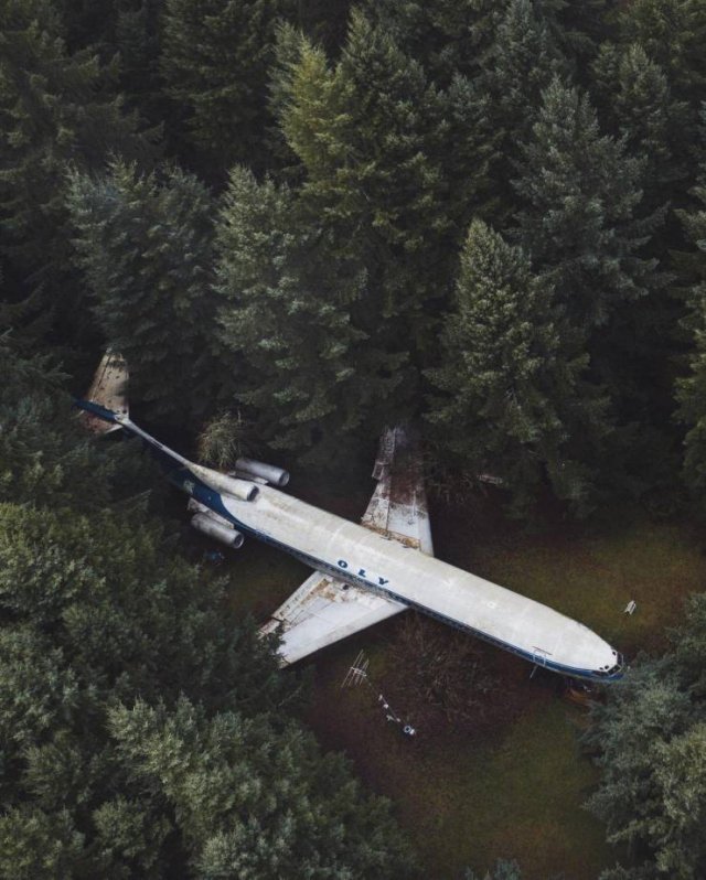 Amazing Pictures (50 pics)