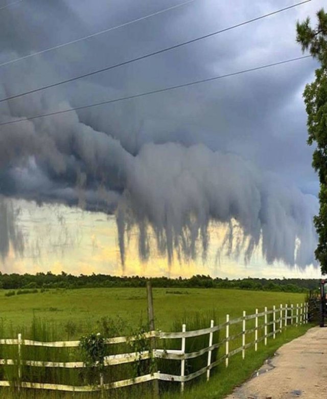 Amazing Pictures (50 pics)