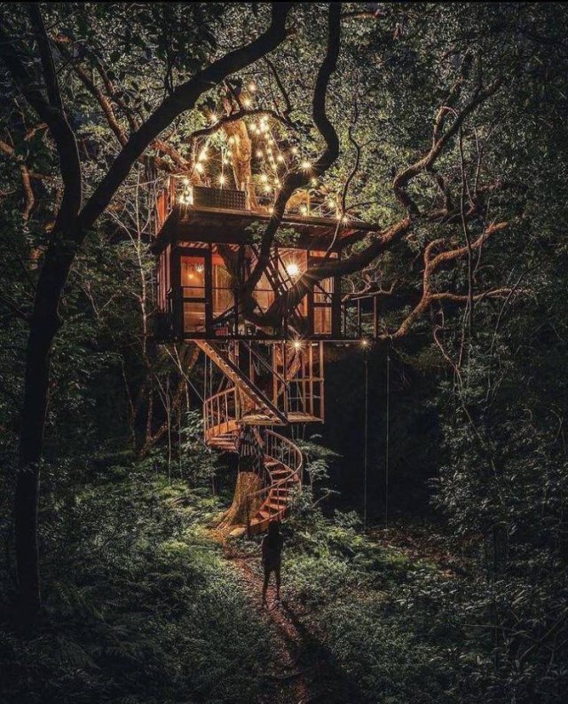 Amazing Pictures (50 pics)