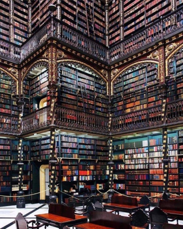 Amazing Pictures (50 pics)