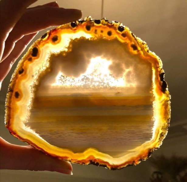 Amazing Pictures (50 pics)