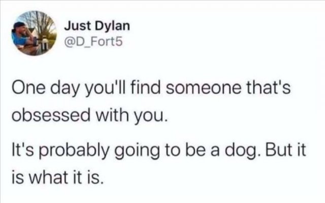 Funny Tweets (67 pics)