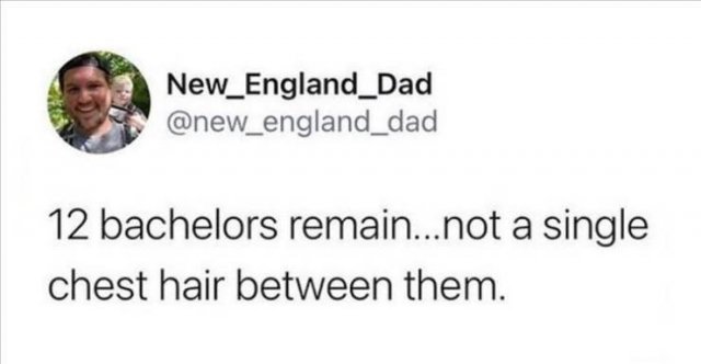 Funny Tweets (67 pics)
