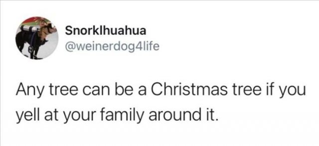 Funny Tweets (67 pics)