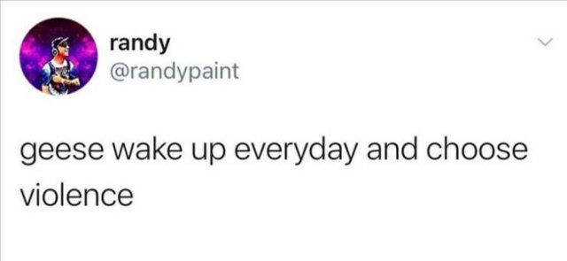 Funny Tweets (67 pics)