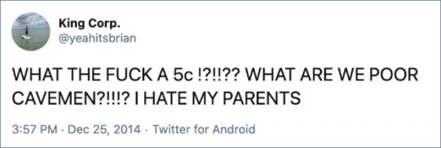 Teen's Worst Christmas (22 pics)