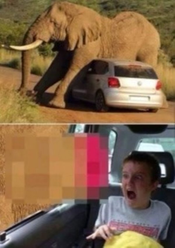Hilarious Memes (94 pics)