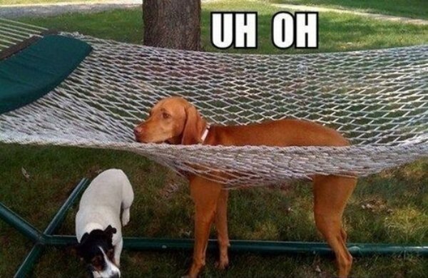Hilarious Memes (94 pics)
